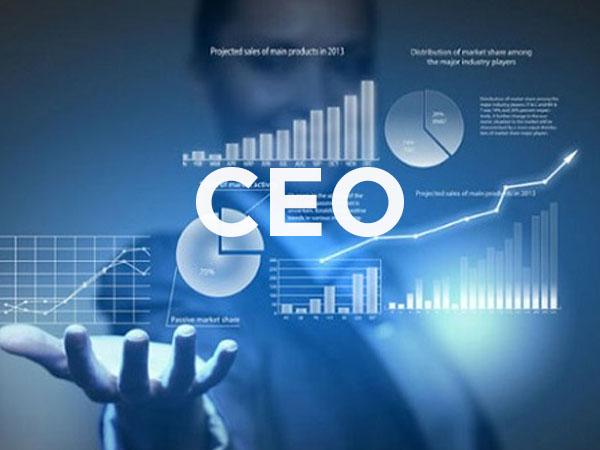giám đốc điều hành - cfo